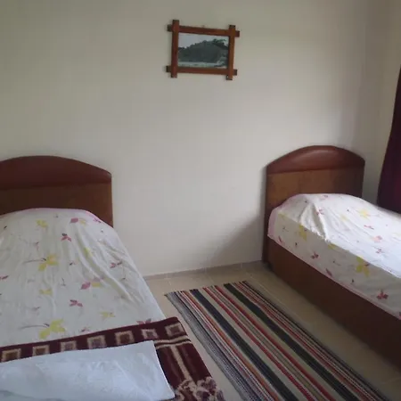 Bed & Breakfast Flower 2*