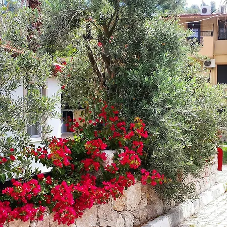 Flower Bed & Breakfast Patara