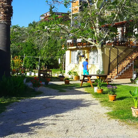 Bed and breakfast Flower 2*